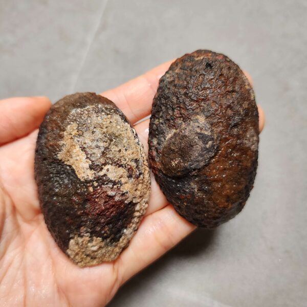 Zhanguo Red Agate Pair Stone (unpolished) ZR045