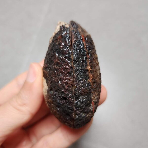 Zhanguo Red Agate Pair Stone (unpolished) ZR045