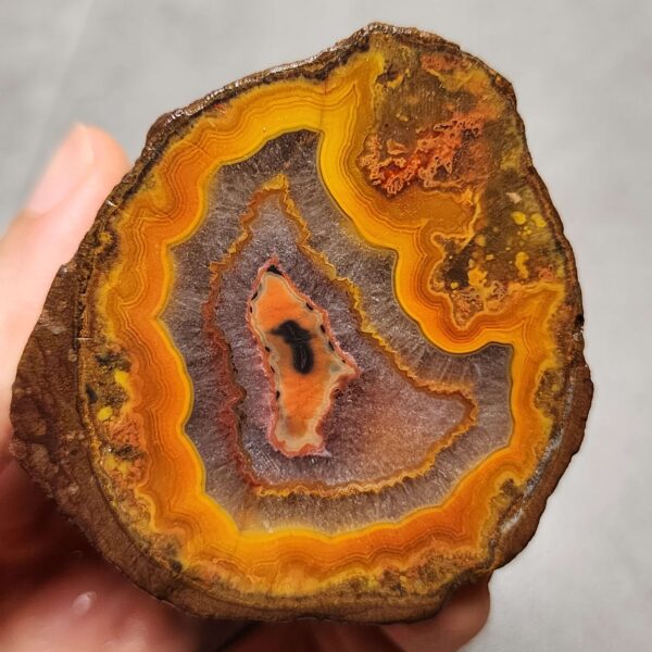 Zhanguo Red Agate Pair Stone (unpolished) ZR024