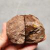 Zhanguo Red Agate Pair Stone (unpolished) ZR024