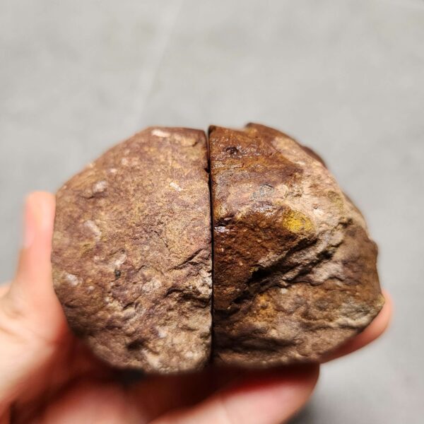 Zhanguo Red Agate Pair Stone (unpolished) ZR024