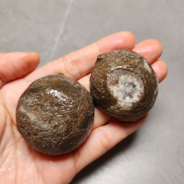20260622_201014 Zhanguo Red Agate Pair Stone (unpolished) ZR027
