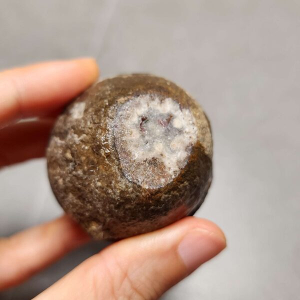 20260622_201023 Zhanguo Red Agate Pair Stone (unpolished) ZR027