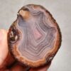 Zhanguo Red Agate Pair Stone (unpolished) ZR041