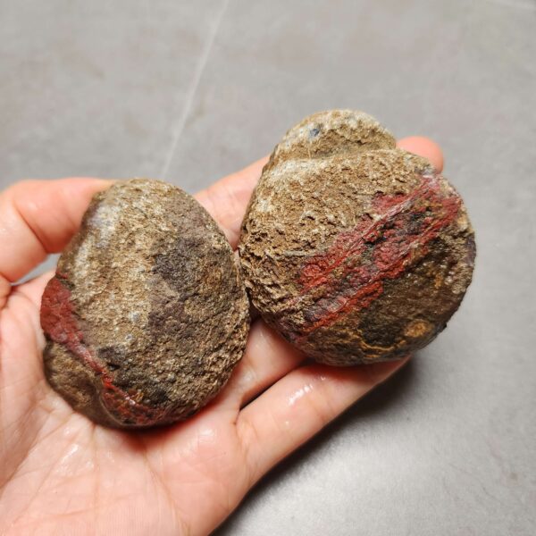 Zhanguo Red Agate Pair Stone (unpolished) ZR041
