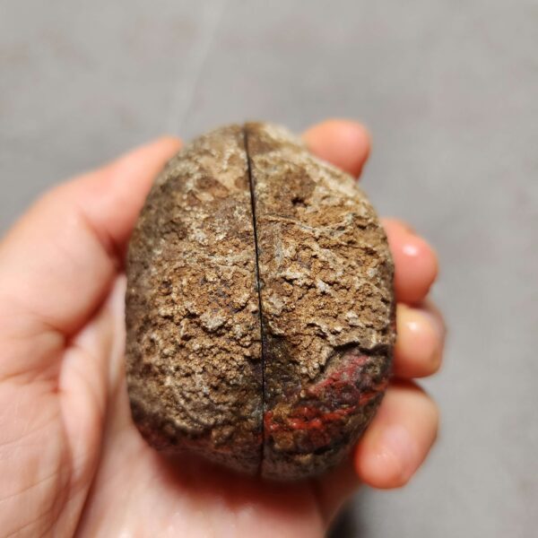 Zhanguo Red Agate Pair Stone (unpolished) ZR041