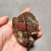 Zhanguo Red Agate Pair Stone (unpolished) ZR041