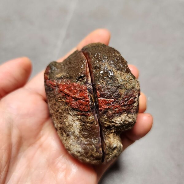 Zhanguo Red Agate Pair Stone (unpolished) ZR041
