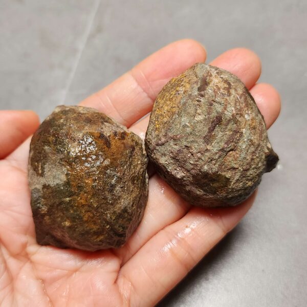 Zhanguo Red Agate Pair Stone (unpolished) ZR046