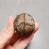 Zhanguo Red Agate Pair Stone (unpolished) ZR046
