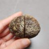 Zhanguo Red Agate Pair Stone (unpolished) ZR038
