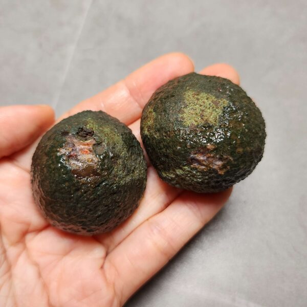 Zhanguo Red Agate Pair Stone (unpolished) ZR037