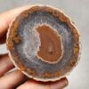20260622_202551 Zhanguo Red Agate Pair Stone (unpolished) ZR047