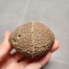 20260623_201327 Zhanguo Red Agate Pair Stone (unpolished) ZR047
