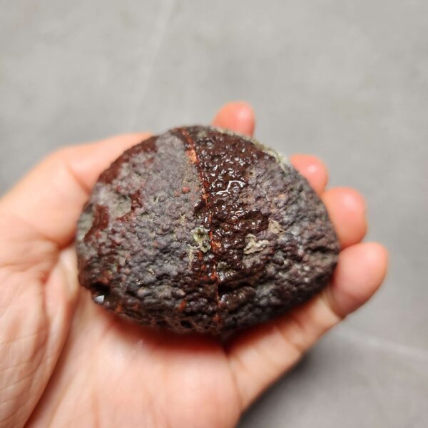 Zhanguo Red Agate Pair Stone (unpolished) ZR049