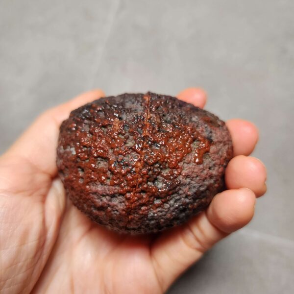 Zhanguo Red Agate Pair Stone (unpolished) ZR049
