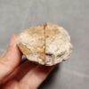Zhanguo Red Agate Pair Stone (unpolished) ZR025