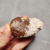 Zhanguo Red Agate Pair Stone (unpolished) ZR025
