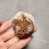 Zhanguo Red Agate Pair Stone (unpolished) ZR025