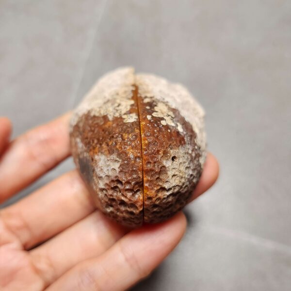 Zhanguo Red Agate Pair Stone (unpolished) ZR025