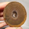 Zhanguo Red Agate Pair Stone (unpolished) ZR053