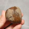 Zhanguo Red Agate Pair Stone (unpolished) ZR053