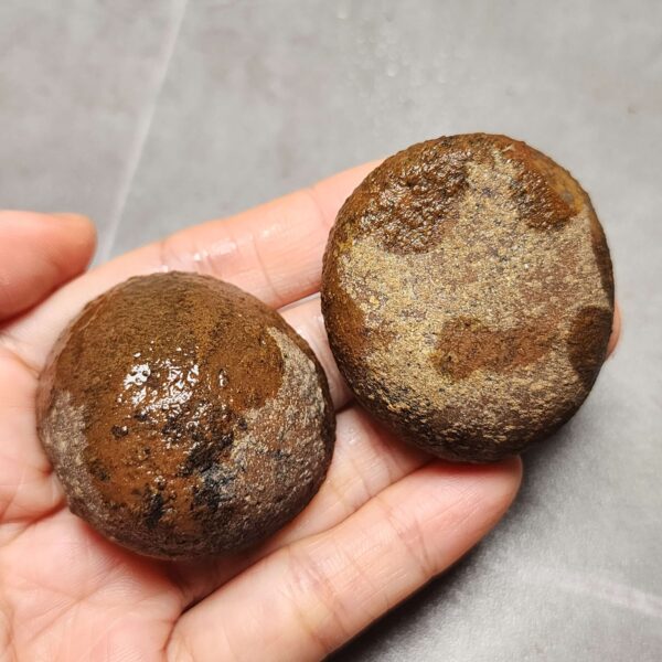 Zhanguo Red Agate Pair Stone (unpolished) ZR053