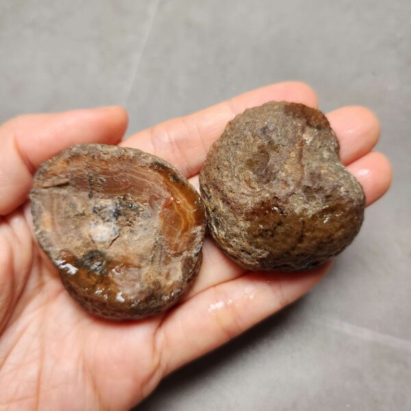 20260623_202213 Zhanguo Red Agate Stone (unpolished) ZR051