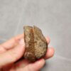 20260623_202225 Zhanguo Red Agate Stone (unpolished) ZR051