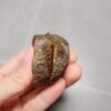 20260623_202236 Zhanguo Red Agate Stone (unpolished) ZR051