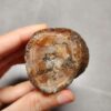 20260623_202250 Zhanguo Red Agate Stone (unpolished) ZR051