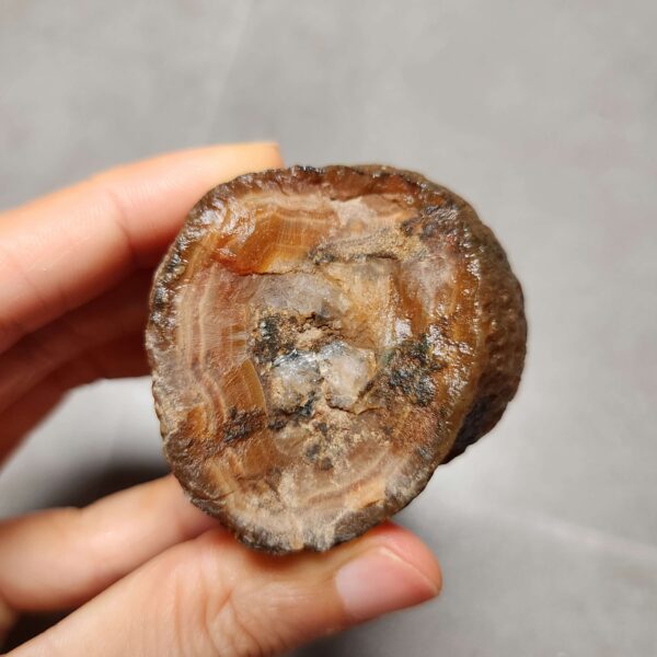 20260623_202250 Zhanguo Red Agate Stone (unpolished) ZR051