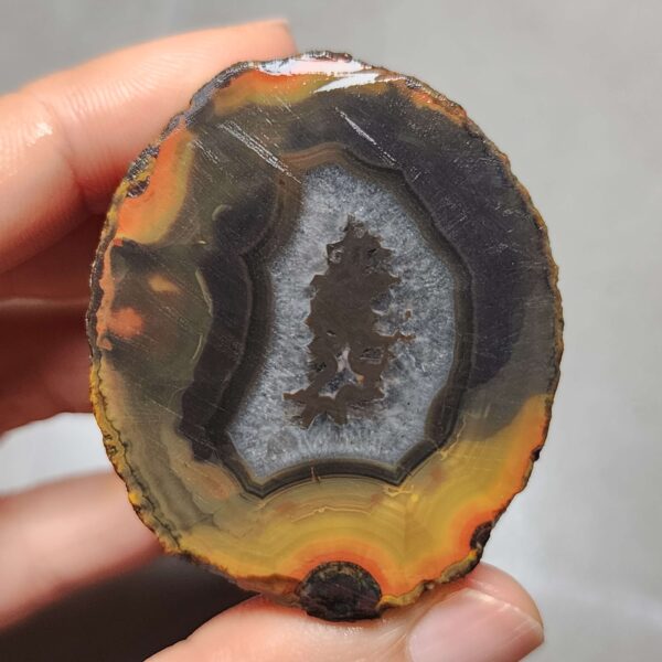 20260623_202448 Zhanguo Red Agate Pair Stone (unpolished) ZR030