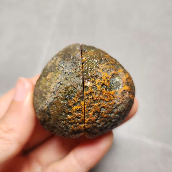 20260623_202508 Zhanguo Red Agate Pair Stone (unpolished) ZR030