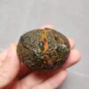 20260623_202516 Zhanguo Red Agate Pair Stone (unpolished) ZR030