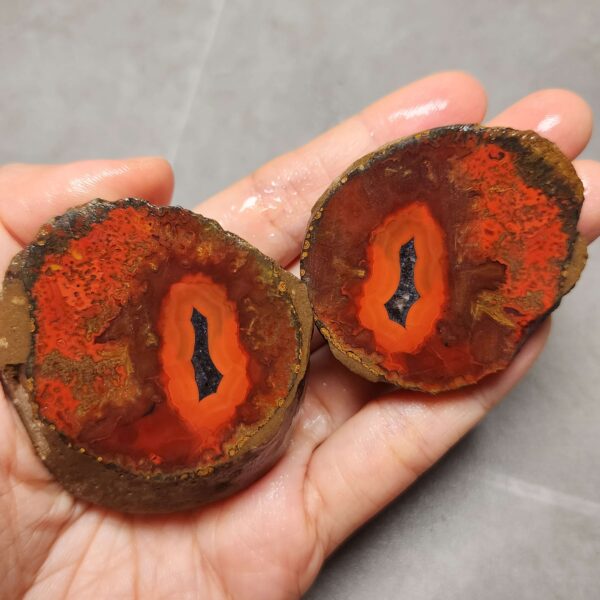 20260623_202603 Zhanguo Red Agate Pair Stone (unpolished) ZR028