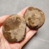20260623_202643 Zhanguo Red Agate Pair Stone (unpolished) ZR028