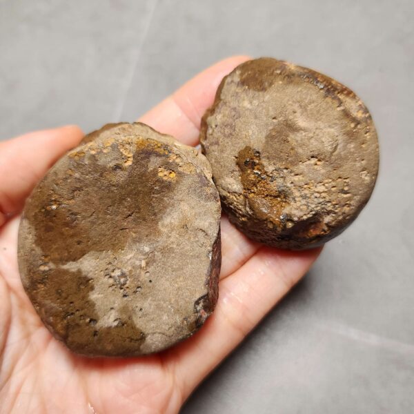 20260623_202643 Zhanguo Red Agate Pair Stone (unpolished) ZR028