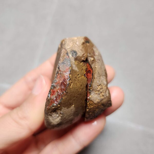 20260623_202654 Zhanguo Red Agate Pair Stone (unpolished) ZR028