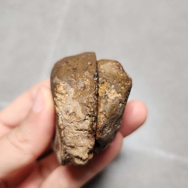 20260623_202658 Zhanguo Red Agate Pair Stone (unpolished) ZR028