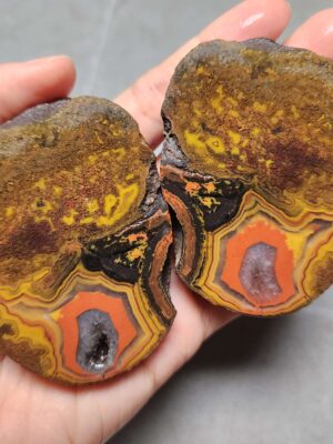 20260623_203155 Zhanguo Red Agate Pair Stone (unpolished) ZR035
