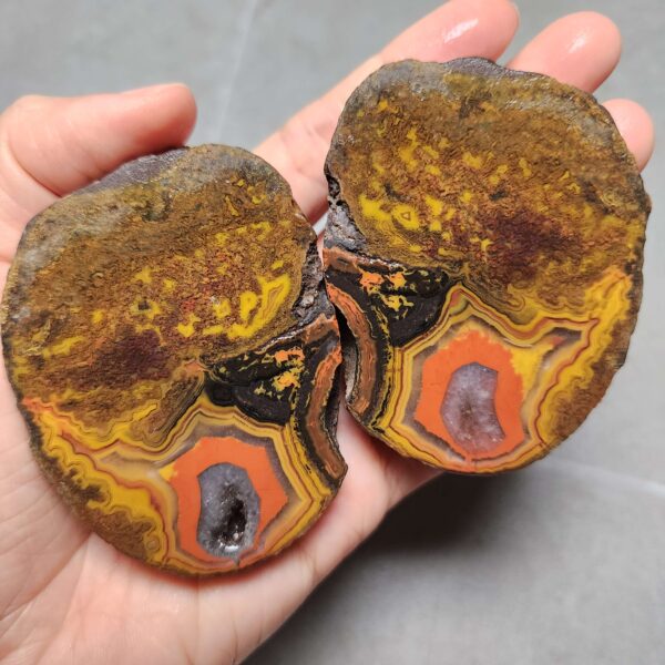 20260623_203155 Zhanguo Red Agate Pair Stone (unpolished) ZR035