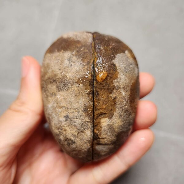 20260623_203243 Zhanguo Red Agate Pair Stone (unpolished) ZR035