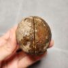 20260623_203257 Zhanguo Red Agate Pair Stone (unpolished) ZR035