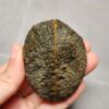 20260623_203411 Zhanguo Red Agate Pair Stone (unpolished) ZR050