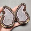 Zhanguo Red Agate Pair Stone (unpolished) ZR036