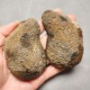 Zhanguo Red Agate Pair Stone (unpolished) ZR036
