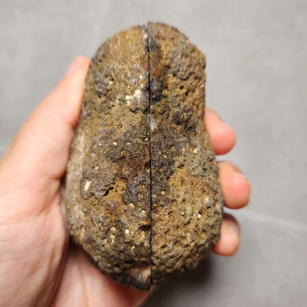 Zhanguo Red Agate Pair Stone (unpolished) ZR036