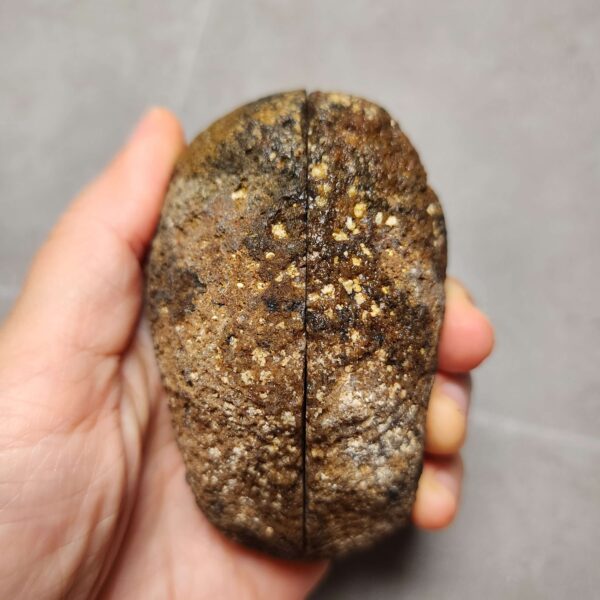 Zhanguo Red Agate Pair Stone (unpolished) ZR036