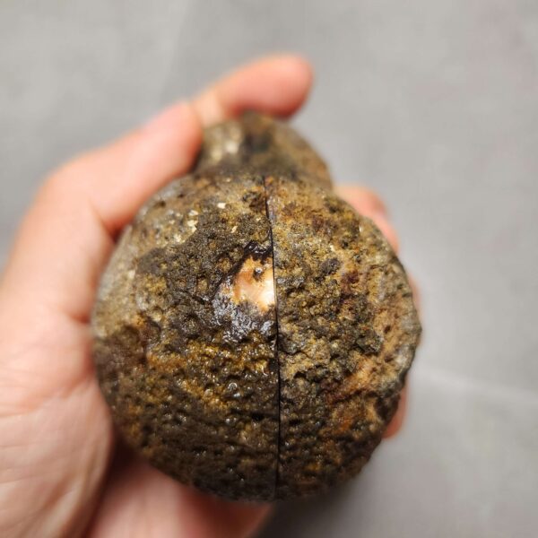 Zhanguo Red Agate Pair Stone (unpolished) ZR036